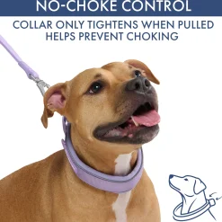 Martingale Collar and Multipurpose Leash Set - Lilac