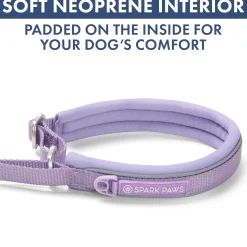 Martingale Collar and Multipurpose Leash Set - Lilac