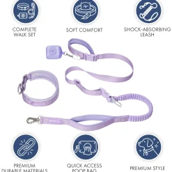Martingale Collar and Multipurpose Leash Set - Lilac