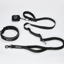 Martingale Collar and Multipurpose Leash Set - Black