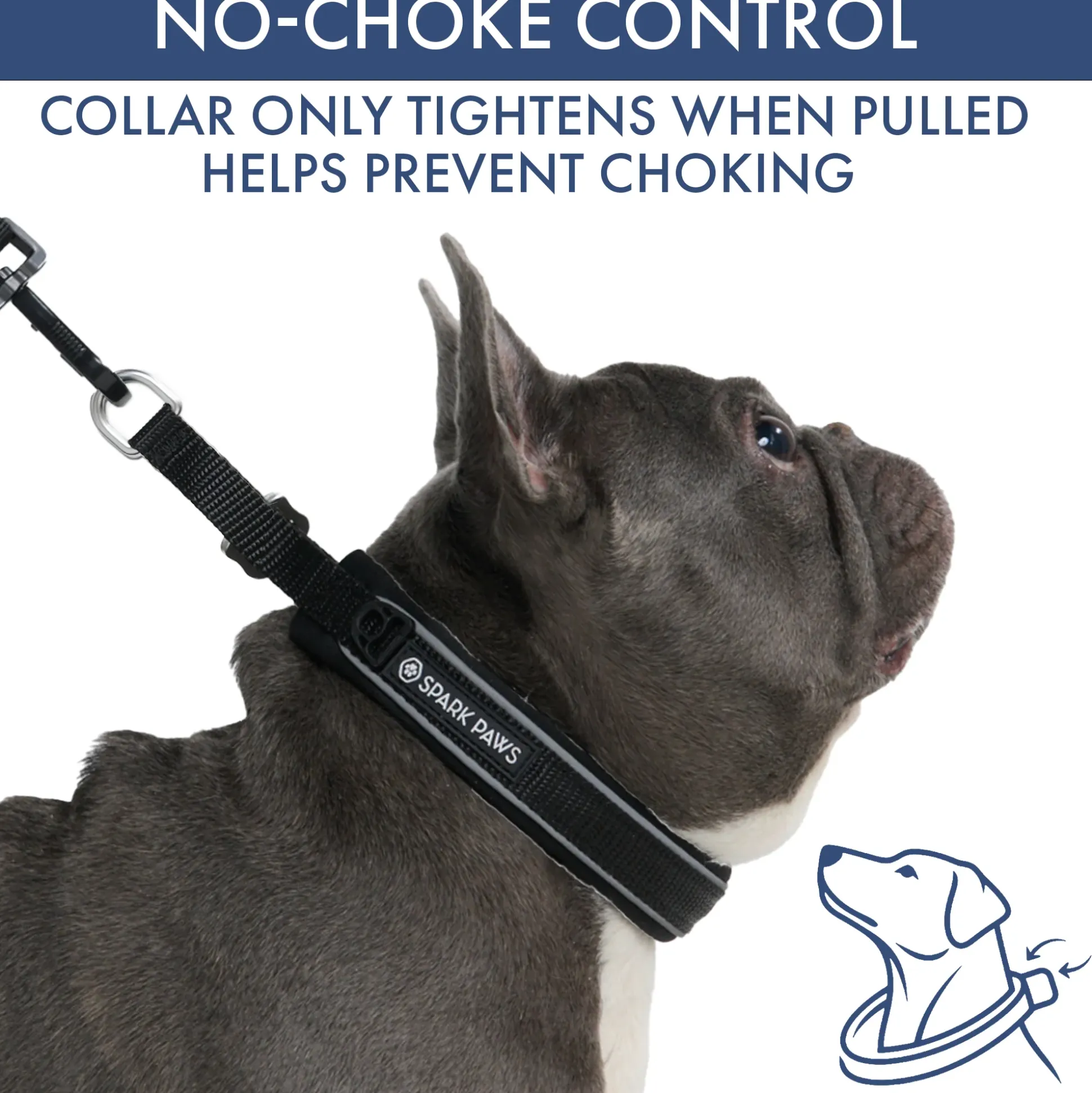 Martingale Collar and Multipurpose Leash Set - Black