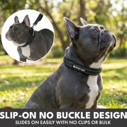 Martingale Collar and Multipurpose Leash Set - Black
