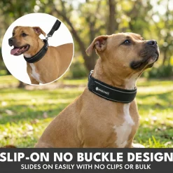Martingale Collar and Multipurpose Leash Set - Black
