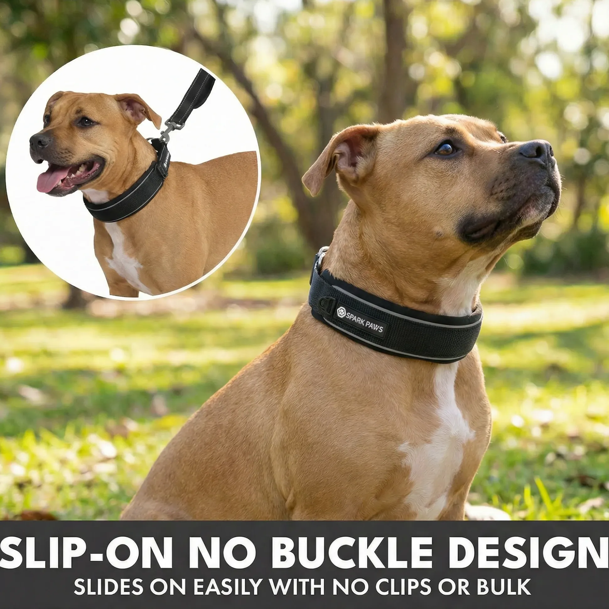 Martingale Collar and Multipurpose Leash Set - Black