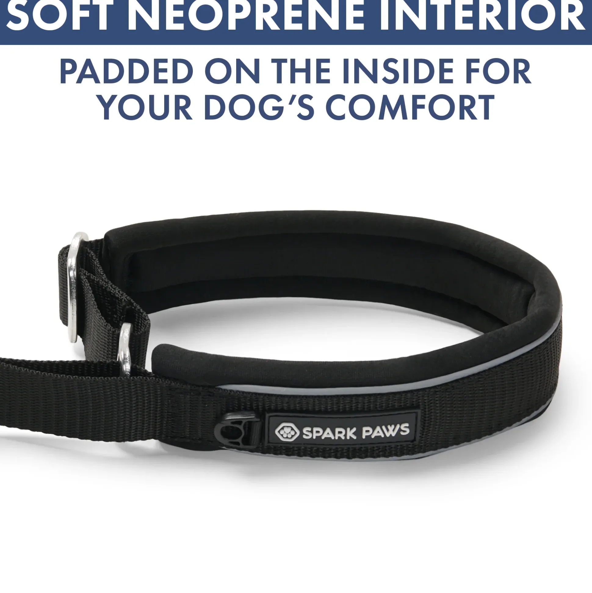 Martingale Collar and Multipurpose Leash Set - Black