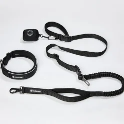 Martingale Collar and Multipurpose Leash Set - Black
