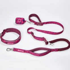 Martingale Collar and Multipurpose Leash Set - Fuchsia Camo