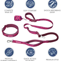 Martingale Collar and Multipurpose Leash Set - Fuchsia Camo