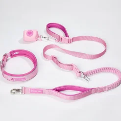 Martingale Collar and Multipurpose Leash Set - Pink