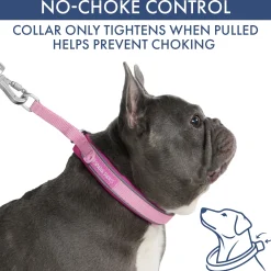 Martingale Collar and Multipurpose Leash Set - Pink