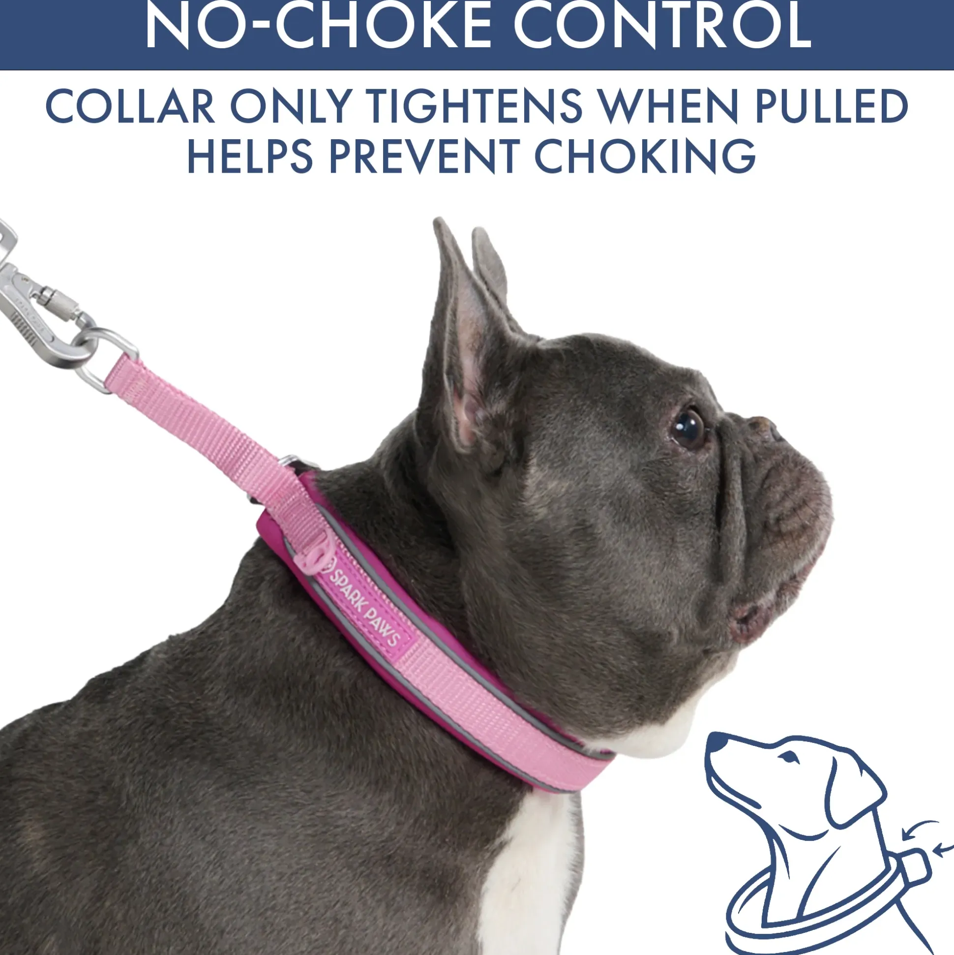 Martingale Collar and Multipurpose Leash Set - Pink