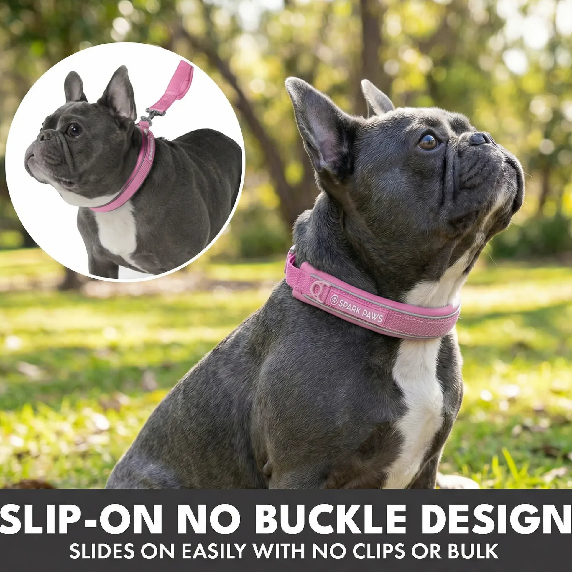 Martingale Collar and Multipurpose Leash Set - Pink