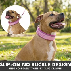 Martingale Collar and Multipurpose Leash Set - Pink