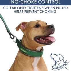 Martingale Collar Set - Army Green