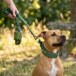 Martingale Collar Set - Army Green