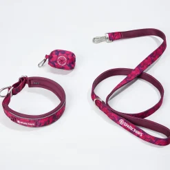 Martingale Collar Set - Fuchsia Camo
