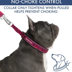 Martingale Collar Set - Fuchsia Camo
