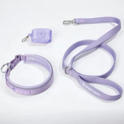 Martingale Collar Set - Lilac