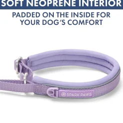 Martingale Collar Set - Lilac