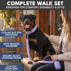 Martingale Collar Set - Lilac