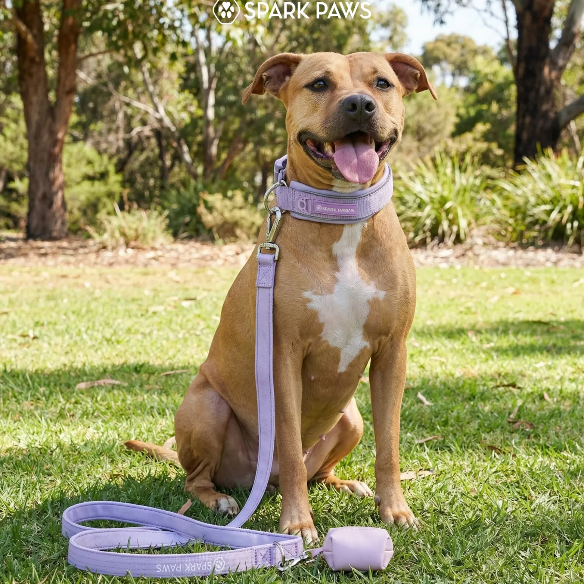 Martingale Collar Set - Lilac