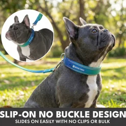 Martingale Collar Set - Lime Wave
