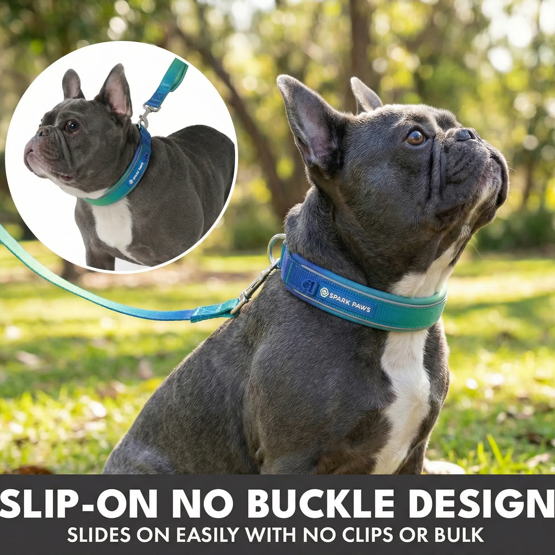Martingale Collar Set - Lime Wave