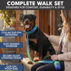 Martingale Collar Set - Lime Wave