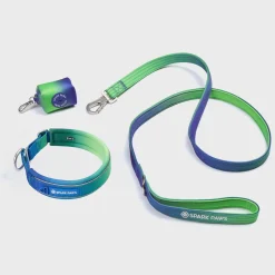 Martingale Collar Set - Lime Wave
