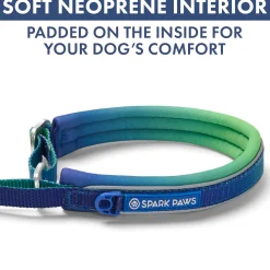 Martingale Collar Set - Lime Wave