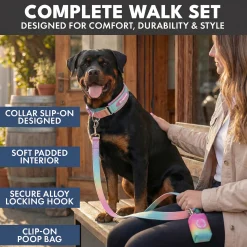 Martingale Collar Set - Pastel Icing