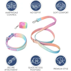 Martingale Collar Set - Pastel Icing