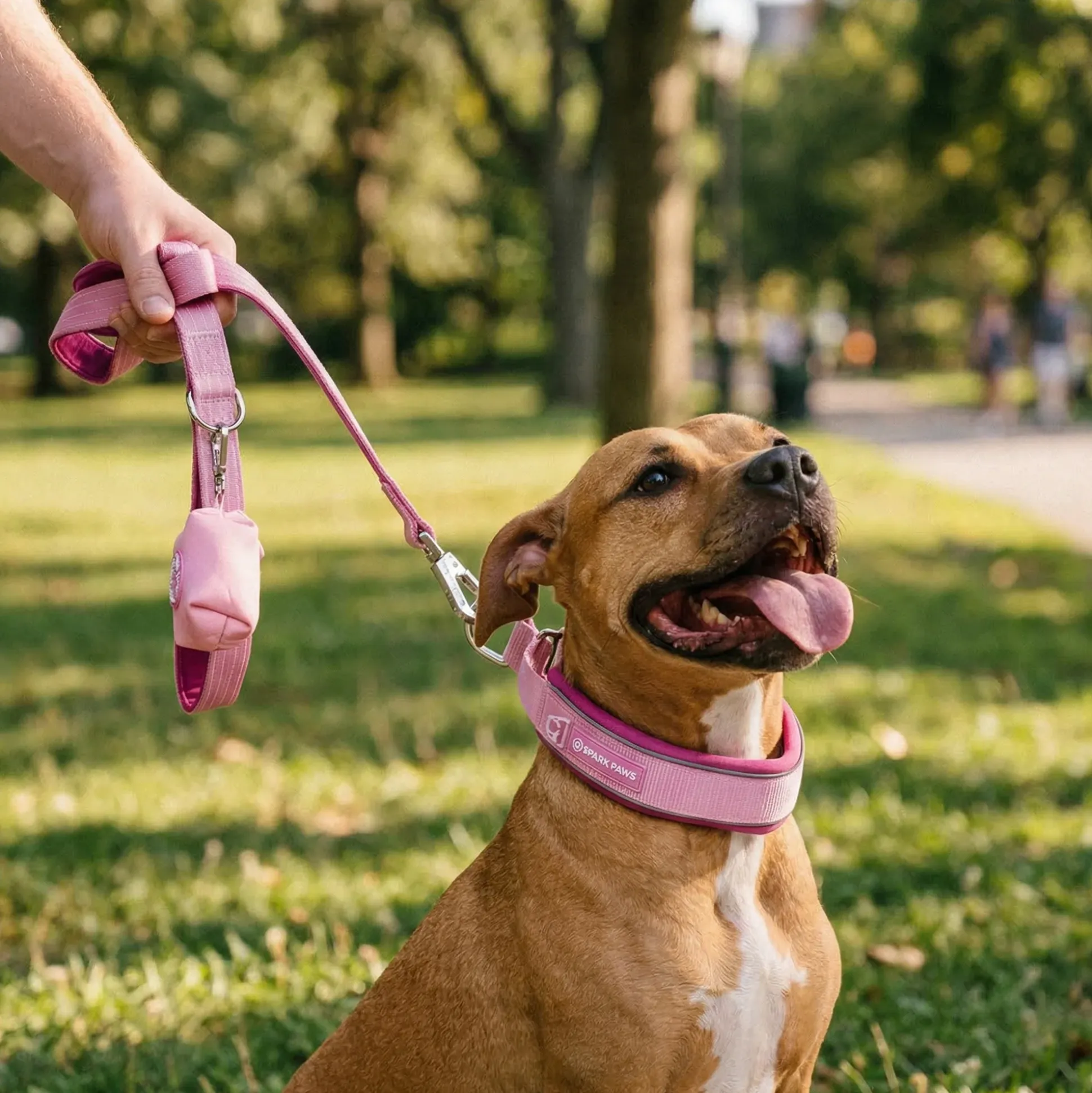 Martingale Collar Set - Pink