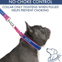 Martingale Collar Sets