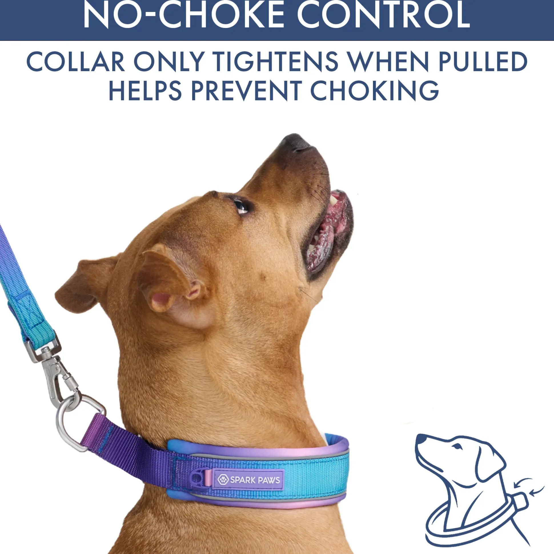 Martingale Collar Sets