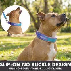 Martingale Collar Sets