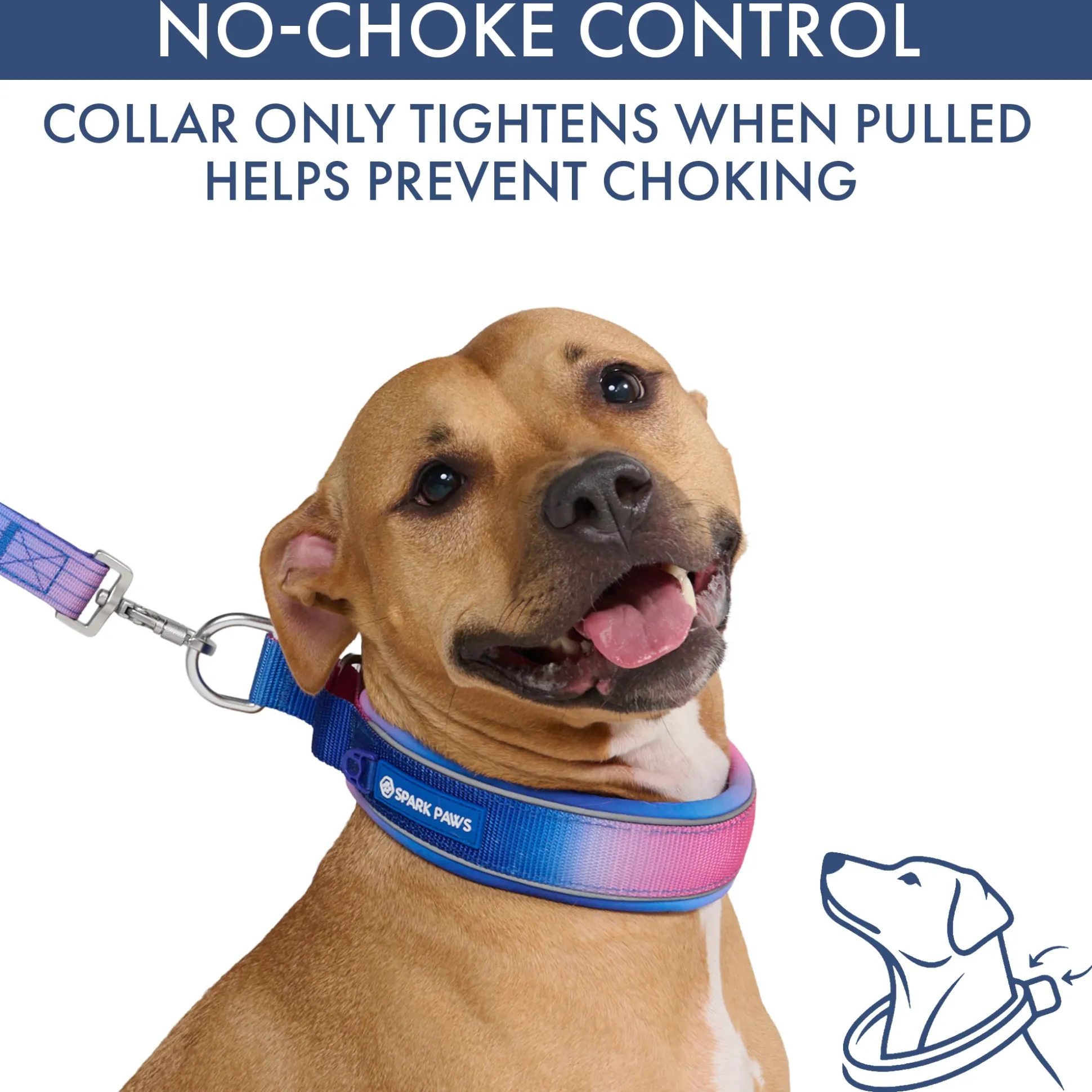 Martingale Collar Sets