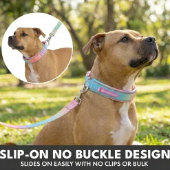 Martingale Collar Sets
