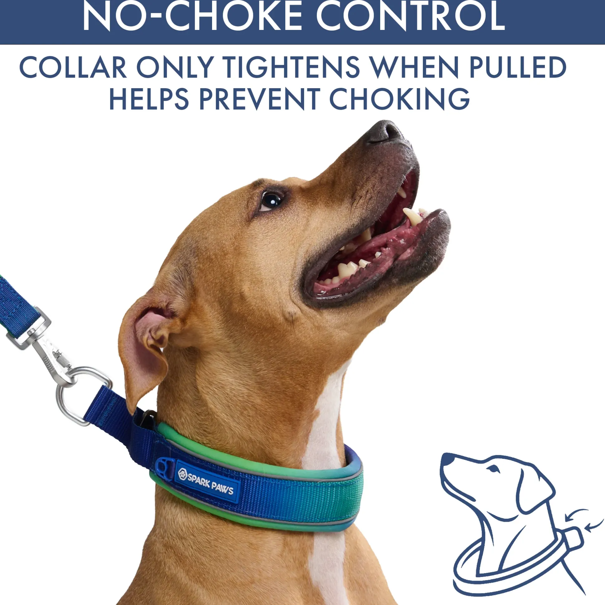 Martingale Collar Sets
