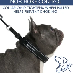 Martingale Collar Sets