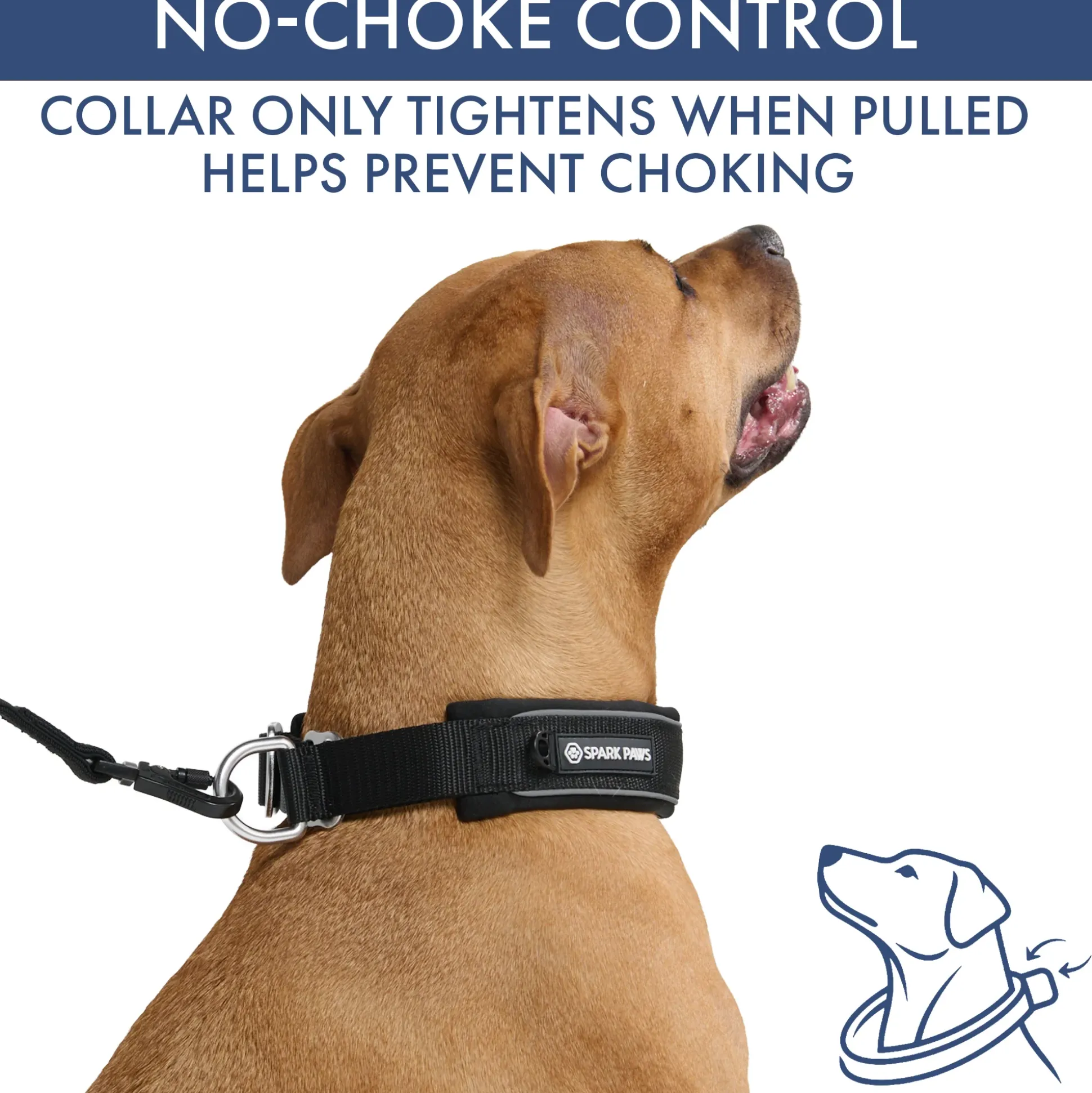 Martingale Collar Sets
