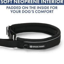 Martingale Collar Sets