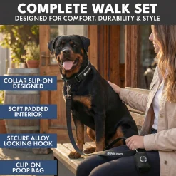 Martingale Collar Sets