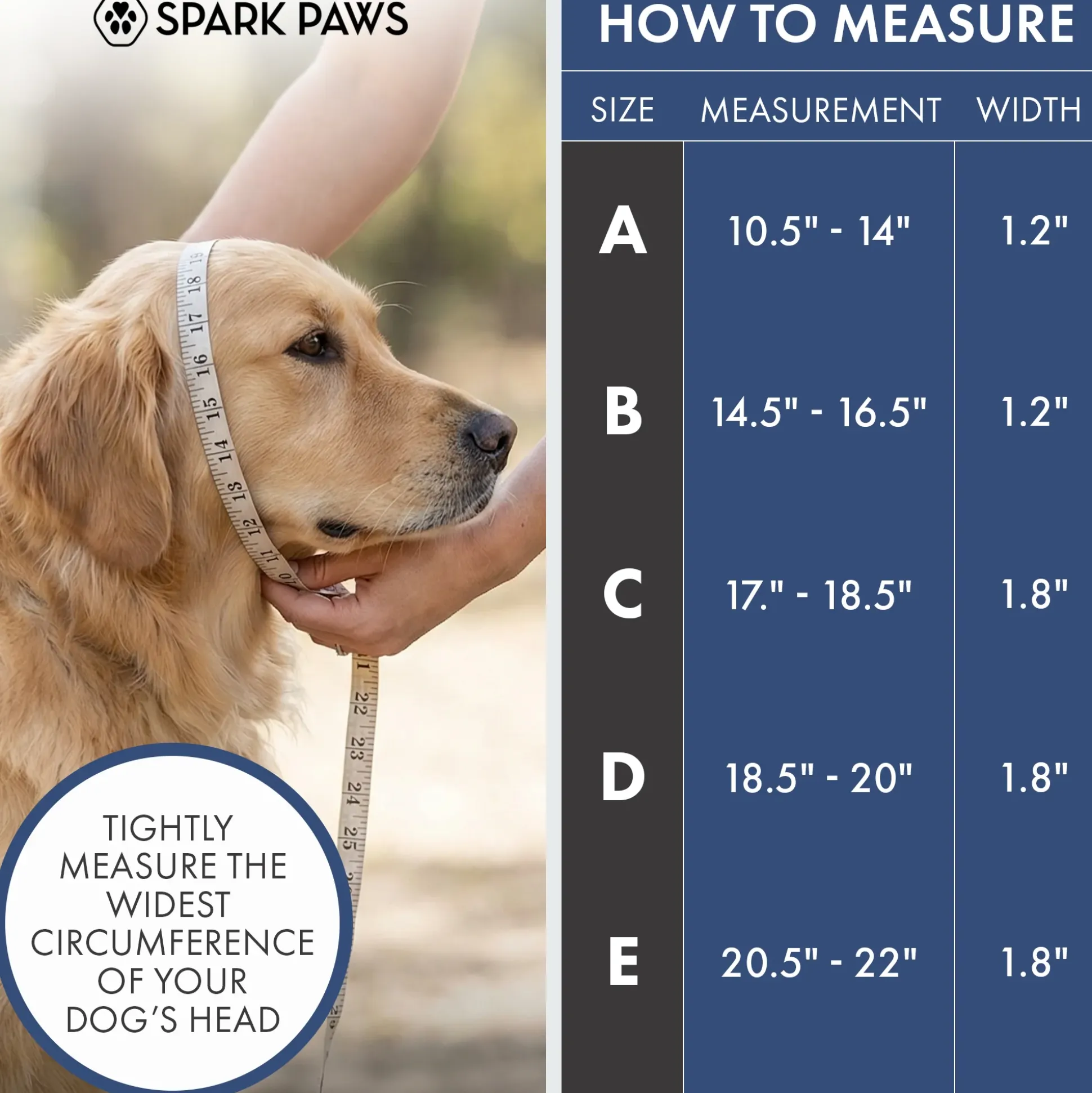 Martingale Collar Sets