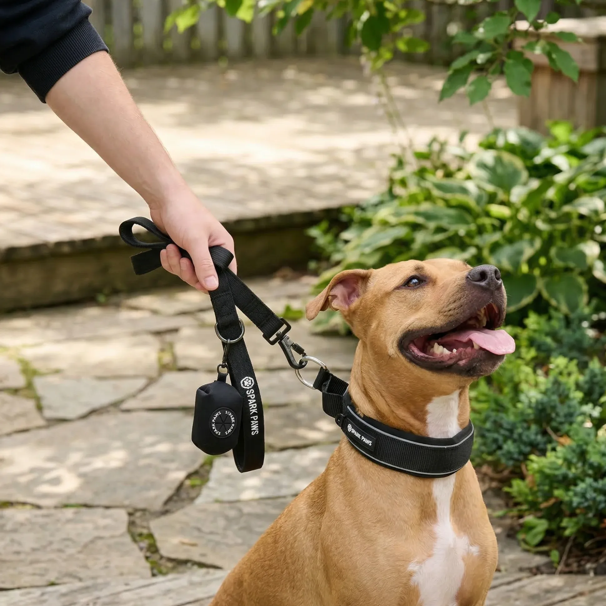 Martingale Collar Sets