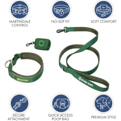 Martingale Collar Sets