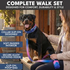 Martingale Collar Sets