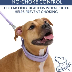 Martingale Collar Sets