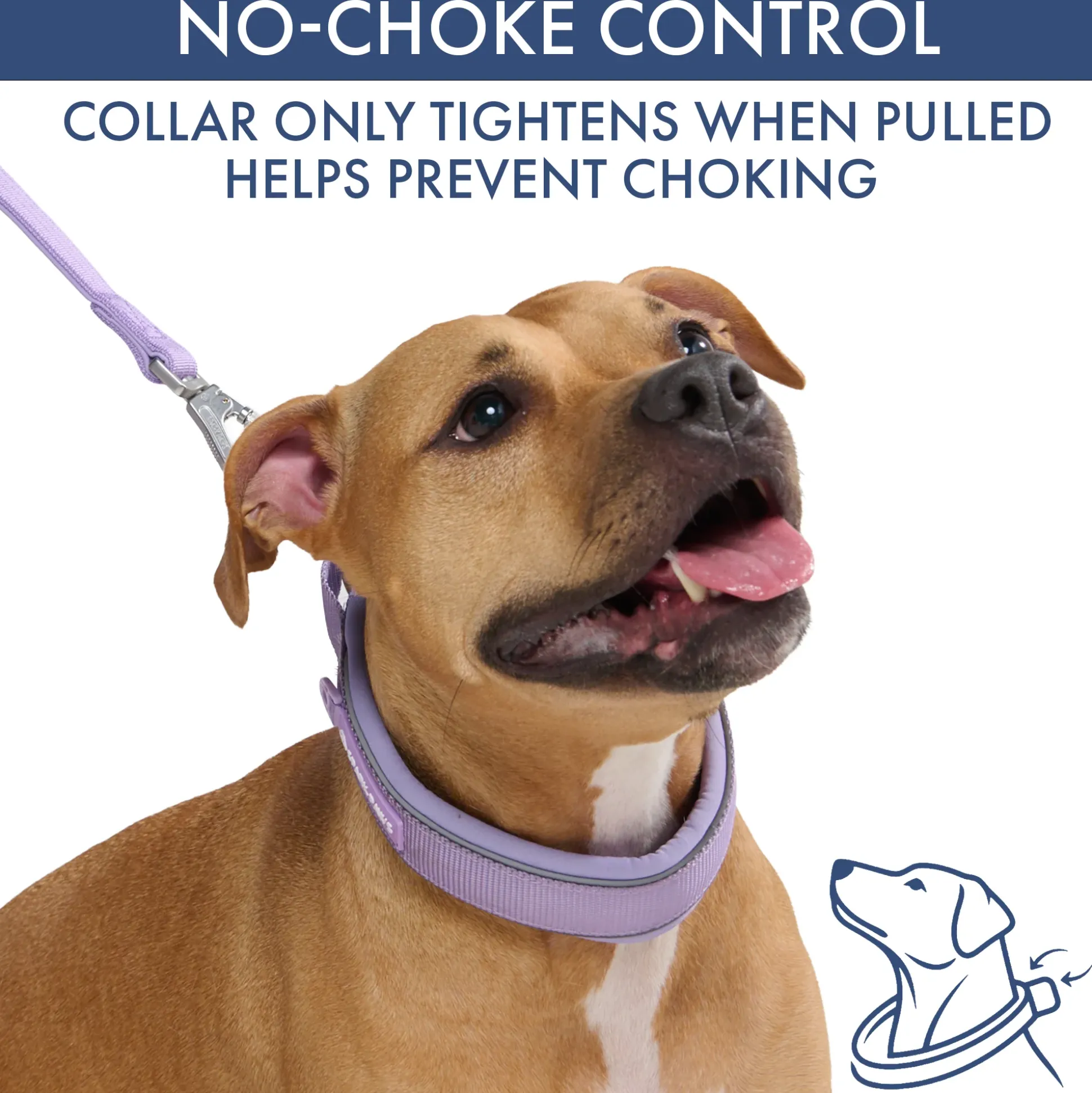 Martingale Collar Sets