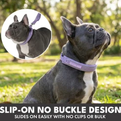 Martingale Collar Sets